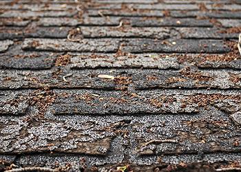 KW Billman Roofing Images